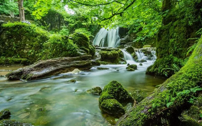 高质量信息化高效